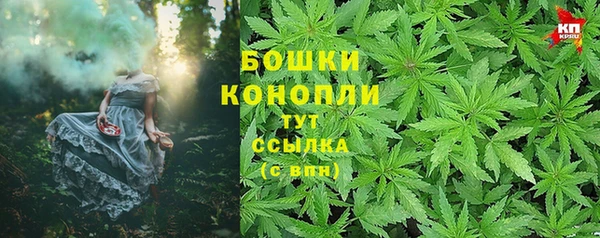 дживик Богородицк