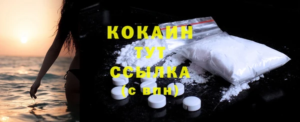 дживик Богородицк