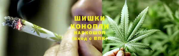 дживик Богородицк