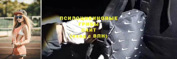 дживик Богородицк