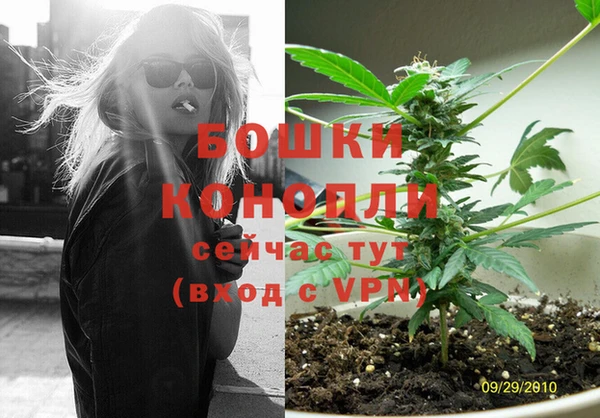 дживик Богородицк