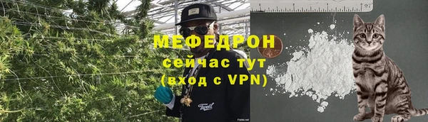 дмт Богородск