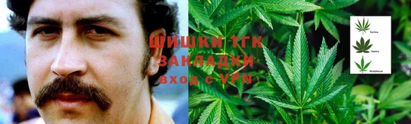 дмт Богородск